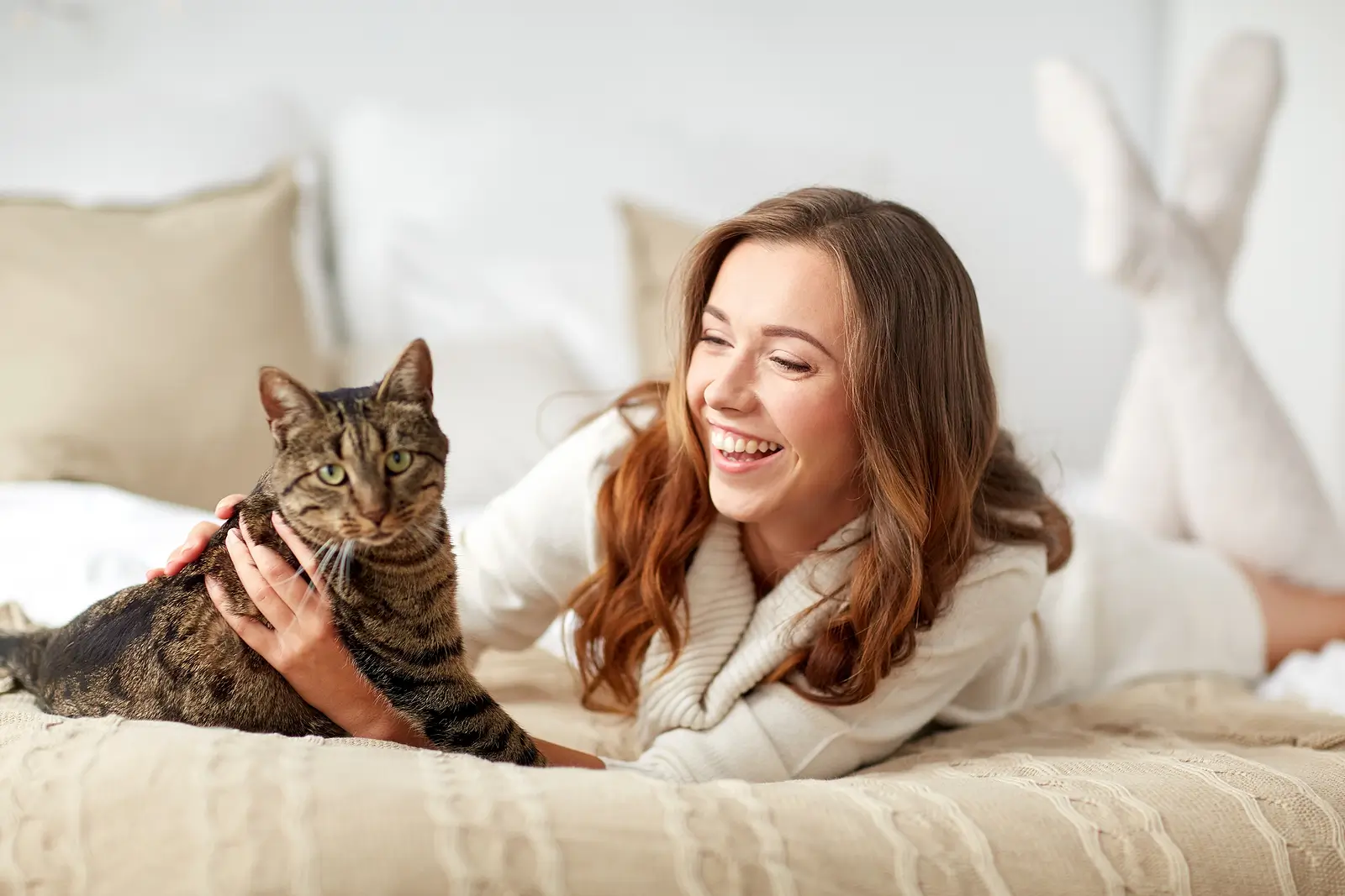 Creating Pet-Friendly Rentals in Brea Without Compromising Your Investment